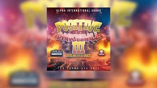 DJ Grace  Positive Dancehall 3  Alpha International Sound [upl. by Petrie714]