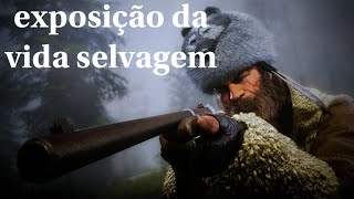 Red dead redemption 2 exposição da vida selvagem [upl. by Lainahtan]