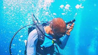 DAY 9 PART 1  SAILING  SCUBA DIVING  NIGHT DIVE  ADVENTURE  FUN  MARINE BIOLOGY  SEA TURTLE [upl. by Louie]