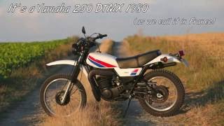 1980 Yamaha 250 DTMX DT F in the country [upl. by Poree612]