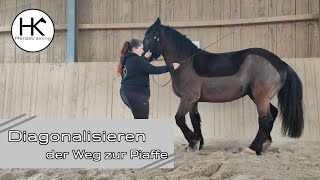 HOW TO Diagonalisieren  Vorstufe zur Piaffe 🐎  HK Pferdetraining [upl. by Zuliram]