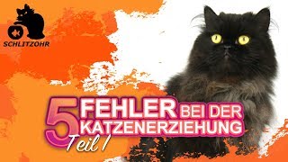 🔥5 Fehler in der Katzenerziehung  Tipps zur Erziehung von Katzen  Katze erziehen  Teil 1 [upl. by Sanoj571]