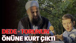 Dede Torunun Karşısına Kurt Çıktı [upl. by Ojyllek138]