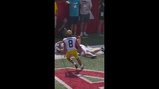 Roman Wilson Incredible Helmet TD Catch vs Nebraska  Michigan Football [upl. by Anesusa]