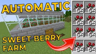 Easy AUTO sweet berry FARM Minecraft 117 Java [upl. by Gosselin]