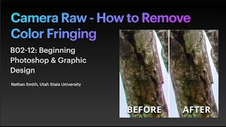 Camera Raw How to Remove Color Fringing in Your Photos [upl. by Vey752]