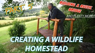 BUILDING A WILDLIFE HOMESTEAD PART 5  RUSTIC BRIDGE THE HIDE BEGINS CREATE A CAR PARK [upl. by Neggem]