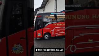 Rilis  Gunung Harta Jetbus 5 MD [upl. by Atilrep531]