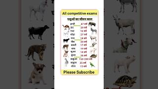 जानवरों के जीवनकाल की सूची  Animals Age List In Hindi  जानवरों का जीवन काल कितना होता है [upl. by Arras]