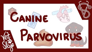 Canine Parvovirus  causes pathophysiology clinical signs diagnosis treatment prevention [upl. by Christian373]