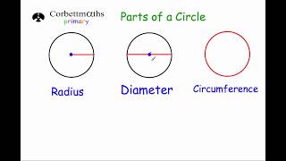 Parts of a Circle  Primary [upl. by Hcelemile]