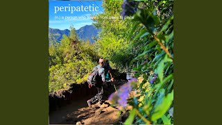 Peripatetic Person [upl. by Ttennaj]