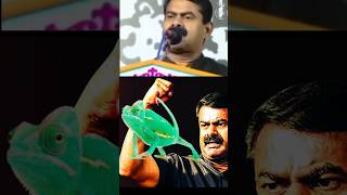 Pachonthi Seeman🦠💯 seeman tvk tvkvijay shorts [upl. by Marva]