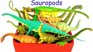 Learn Dinosaur Names  Dinosaur Box  Sauropods  Kids Toys Review [upl. by Cleopatre]