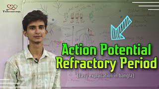 Action Potential in neuron  Refractory Period in bangla [upl. by Akiaki]