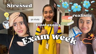 One day before exams  Aakritisharmavlogs  Exam time106100 [upl. by Selokcin446]