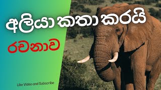 අලියා කතා කරයිමම අලියෙක් වෙමිරචනාව aliya katha karayi  mama aliyek wemi  scholarship essay [upl. by Rosene]