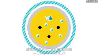 b Mola專利技術詳解 [upl. by Thar]