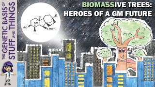 Gibberellin overexpression increases tree biomass The future of forestry [upl. by Lamrej]