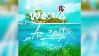 Wawa Salegy  Ao zay  audio [upl. by Oicinoid]