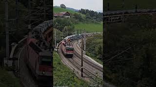 Trainspotters train nature rails [upl. by Notled]