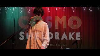 Cosmo Sheldrake  Live Improv in London  Track 7 The Falcon cover [upl. by Innus]