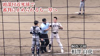 相澤白虎 桐蔭学園 ヘルメットが飛ぶ程の頭部付近死球も審判の制止を振り切り一塁へ！718 慶應義塾戦 [upl. by Gnidleif453]