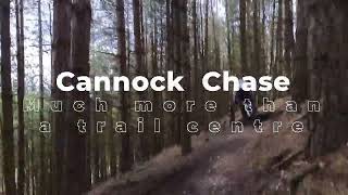 Cannock MTB Most of the trails are OK [upl. by Iphagenia]