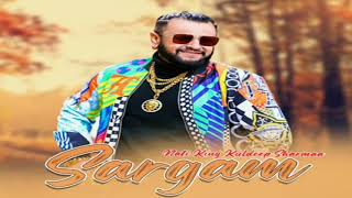 Sargam 2024  Nati King Kuldeep Sharma  Himachali songs  old pahari songs  pahari Nati [upl. by Newmark44]