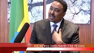 Interview With Dr Workneh Gebeyehu Foreign Affairs Minister [upl. by Dalt139]