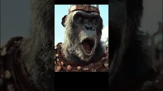 Kingdom of the Planet of the Apes story explained in hindi shorts movie [upl. by Lulita]