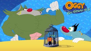 Oggy and the Cockroaches  Jack to the rescue SEASON 7 BEST CARTOON COLLECTION  Episodes in HD [upl. by Eutnoj]