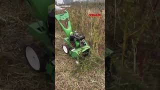 Shennong Hoeing Machinery Factory Diesel4WD Grasscutter Microtillage Photosynthesis viralvideo [upl. by Lauretta]