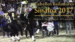 Caballos Bailadores Sinaloa  Maria A Moroyoqui  Caballo El Cantador [upl. by Akeinahs857]