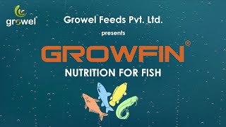 Growfin Ad [upl. by Aleekahs]