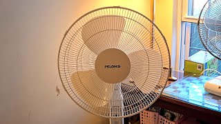 16quot Pelonis Oscillating Stand Fan [upl. by Losse]