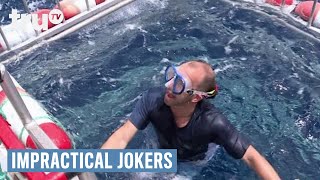 Impractical Jokers  Swimming with the Sharks Punishment  truTV [upl. by Portland658]