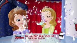 Ta journée de Princesse  Mercredi 18 décembre dès 8h30 sur Disney Junior [upl. by Anileme97]