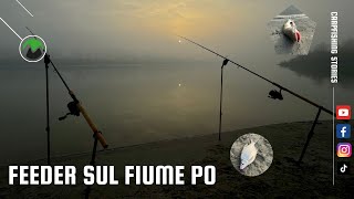 Feeder sul fiume Po  Winter Session [upl. by Whittemore313]