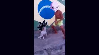 Brazilian dog dancing BUT WITH ULTRA INSTINCT meme [upl. by Yecnay]