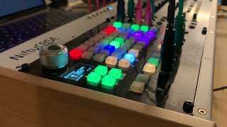 Turing ZEBU A Sequencer Patch For ZOIA Euroburo [upl. by Nyladnek]