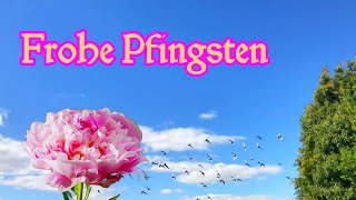 Frohe Pfingsten Schöne Pfingsten und erholsame Feiertage Liebe Grüße zu Pfingsten💝Pfingstgrüße [upl. by Jeavons]