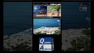 Hazrat ayesha par tohmat ka waqia islamicvideo hazrataisha foryou viralvideo viralshorts [upl. by Dempster122]