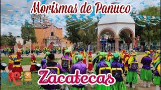 Morismas de Pánuco Zacatecas 2022 [upl. by Maitilde235]