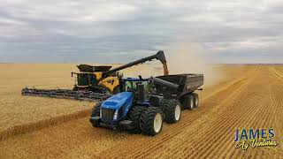 Wheat Harvest 2024 Canada  New Holland CR11 amp CR1090  JAMES AG VENTURES [upl. by Camden225]