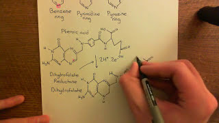 Thymidylate Synthase Inhibitors Part 1 [upl. by Ramyaj]