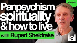 Panpsychism spirituality and consciousness  Rupert Sheldrake [upl. by Carpet]