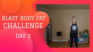 🔥Day 2 Blast Body Fat Challenge Standing Workout No Weights Needed🔥 [upl. by Pang]