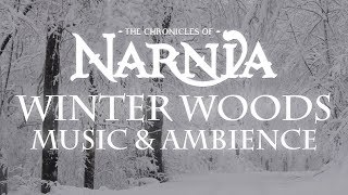 Chronicles of Narnia  Winter Woods Music amp Ambience  Relaxing Music with Sounds of Winter [upl. by Deborath]