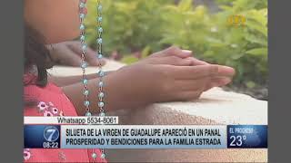 Familia guatemalteca afirma que silueta de la Virgen de Guadalupe apareció en su jardín [upl. by Fennell133]